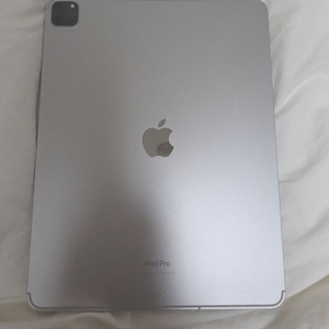 아이패드 프로 12.9인치 6세대 셀룰러 256GB