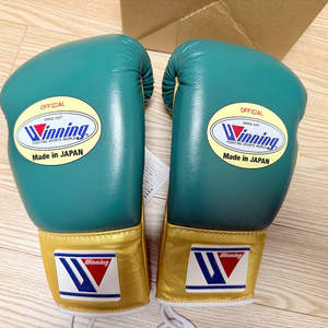 위닝 커스텀 그린골드 복싱글러브 10온스