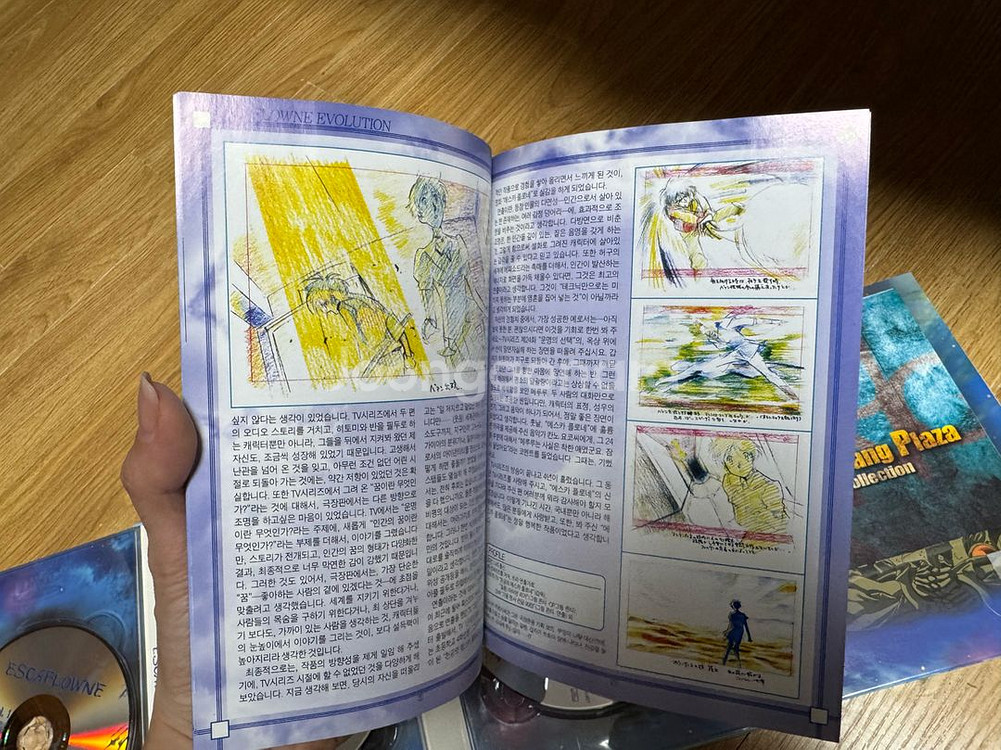 에스카플로네 극장판 DVD 한정판--4