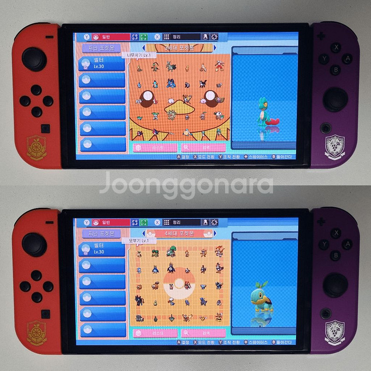 브다샤펄 / 각종 이로치, 실전, 배포 포켓몬 분양소--3