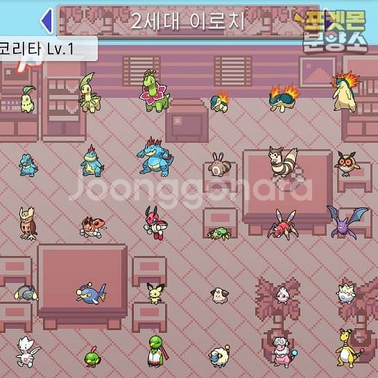 브다샤펄 / 각종 이로치, 실전, 배포 포켓몬 분양소--5