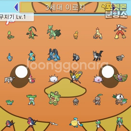 브다샤펄 / 각종 이로치, 실전, 배포 포켓몬 분양소--6