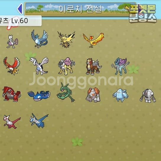 브다샤펄 / 각종 이로치, 실전, 배포 포켓몬 분양소--8