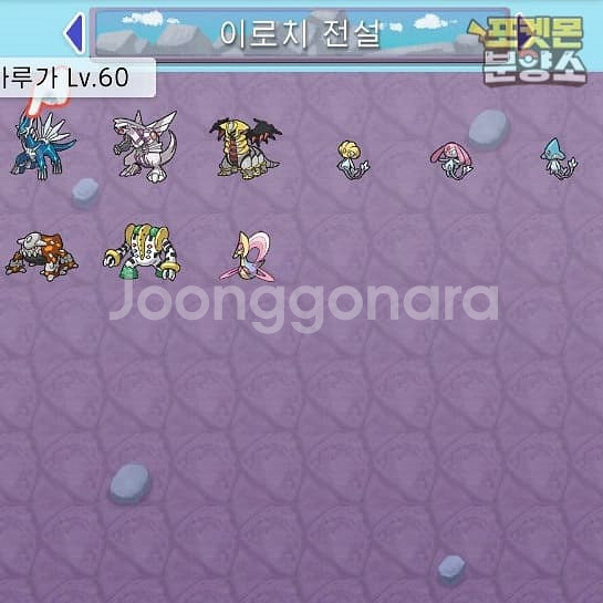 브다샤펄 / 각종 이로치, 실전, 배포 포켓몬 분양소--9