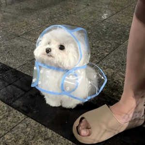 알로항 머니 200만머니 27000원에 삽니다 이미지