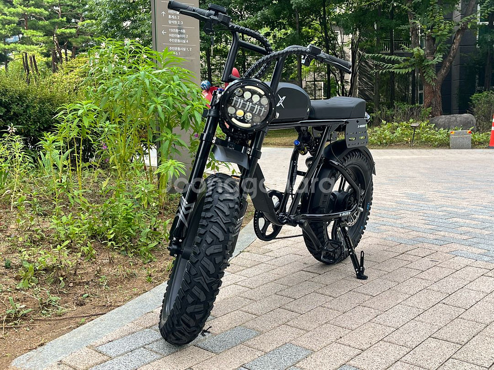 엑스라이더 X200 MAX 판매 전기자전거 자토바이--0