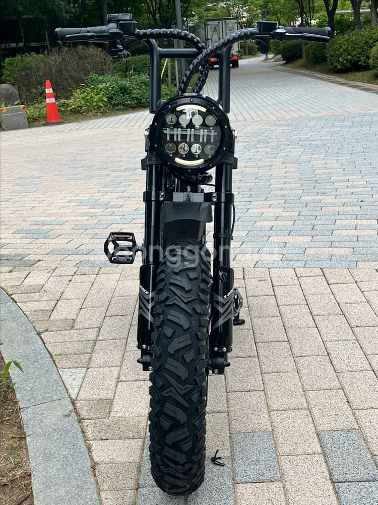 엑스라이더 X200 MAX 판매 전기자전거 자토바이--3