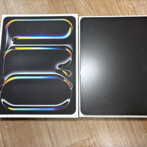 아이패드 프로 13인치 M4 셀룰러 애케플 256GB 팝니다