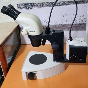 라이카 s4e 실체현미경 (실물현미경)