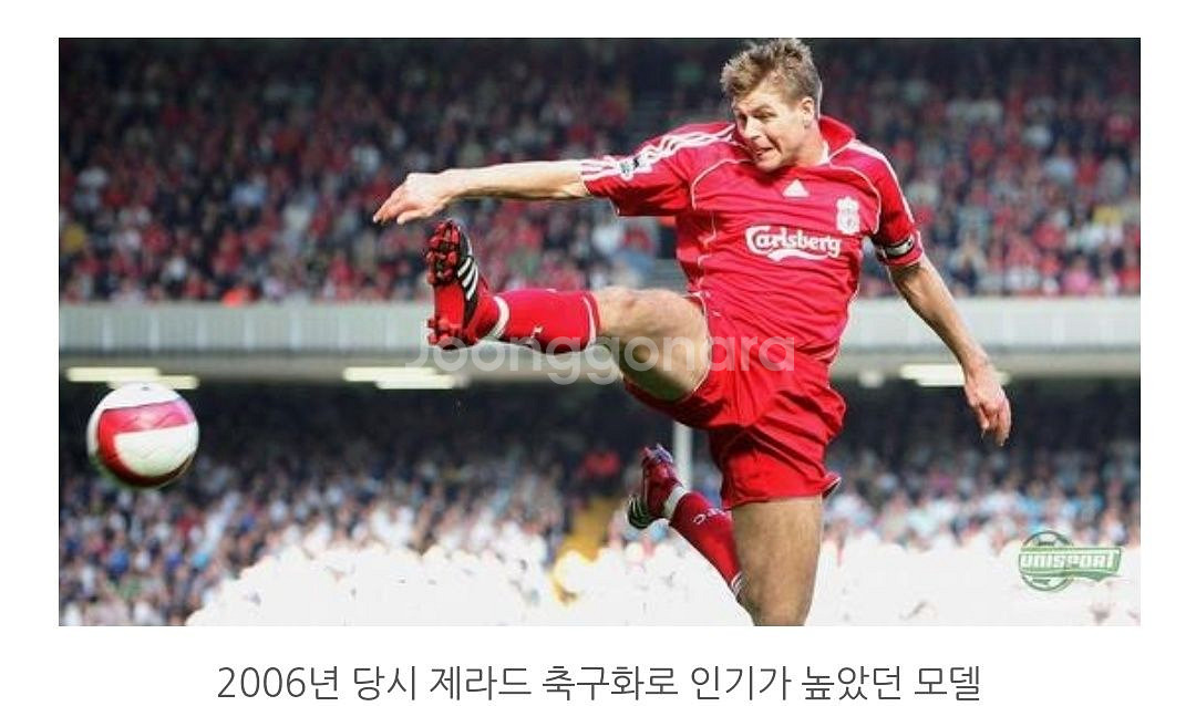 아디다스 프레데터 앱솔라도 풋살화 245 검빨--8