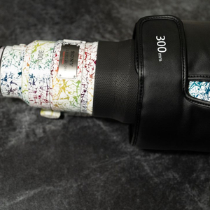 소니 300mm f2.8 GM 망원 단렌즈 판매합니다. (300금, 300GM)