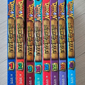 드래곤빌리지 만화책 8권