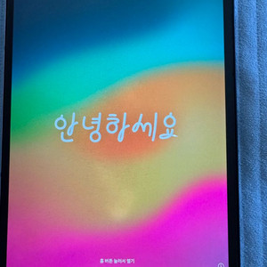 아이패드 프로 10.5인치 셀룰러 512GB
