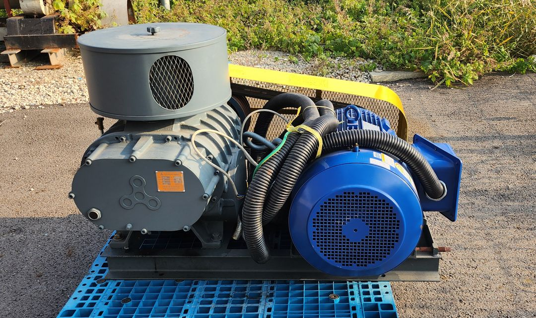 링브로워 루츠브로워 이미지