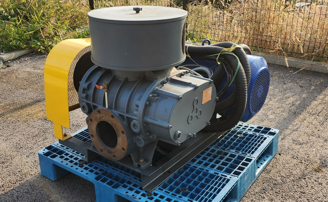 링브로워 루츠브로워 이미지