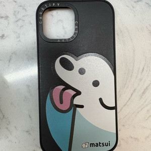 케이스티파이 케이스 13미니