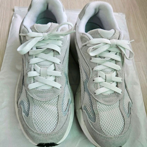 245 푸마 테버리스 나이트로