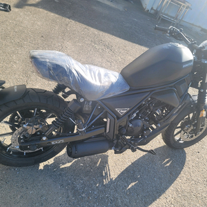 존테스울프 신차 125c