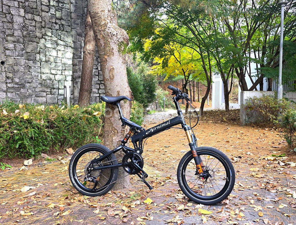 에어니멀 라이노 / 풀샥 미니벨로 (구와하라 가프, 루이가르노, 브롬톤)--0