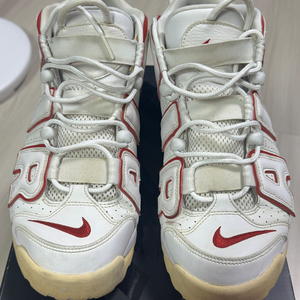 나이키 업템포 바시티레드 270