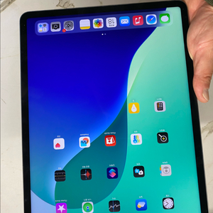 아이패드 프로 12.9인치 6세대 와이파이 256GB