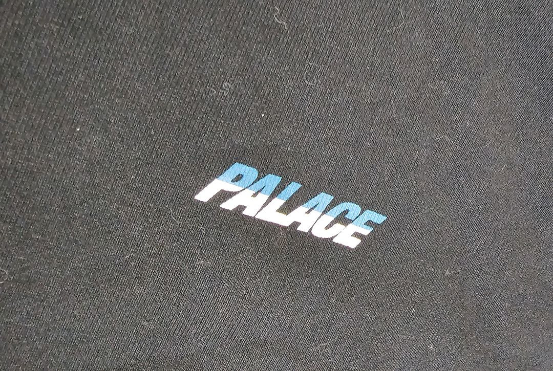 PALACE 팔라스 스플리터 후드 L 이미지