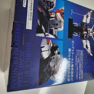 MG 프리덤건담 흉상