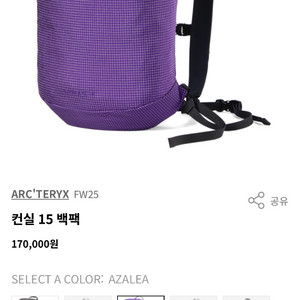 아크테릭스 컨실15 아젤리아/포리지 미개봉 새제품