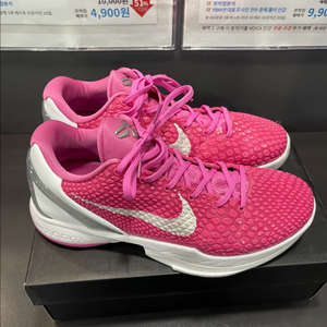 나이키 코비6 케이요우 285 번장에서 오신분들 인증 해드립니다 판매용X