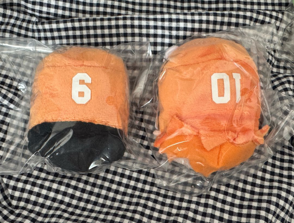 하이큐 히나타 카게야마 세컨드 유니폼 인형 일괄 이미지