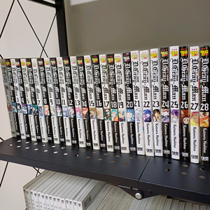 만화 <디그레이맨>