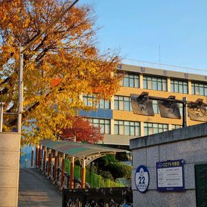 롯데시네마 더블콤보 12.31 9000