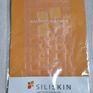 삼성 갤럭시 이온 노트북 실리스킨 키캡