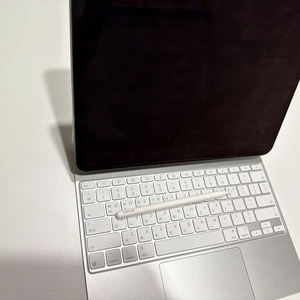 아이패드M4 13인치 셀룰러 판매 or 갤럭시탭 교환