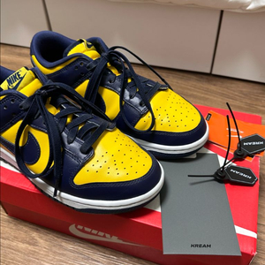 나이키 덩크 로우 레트로 바시티 메이즈