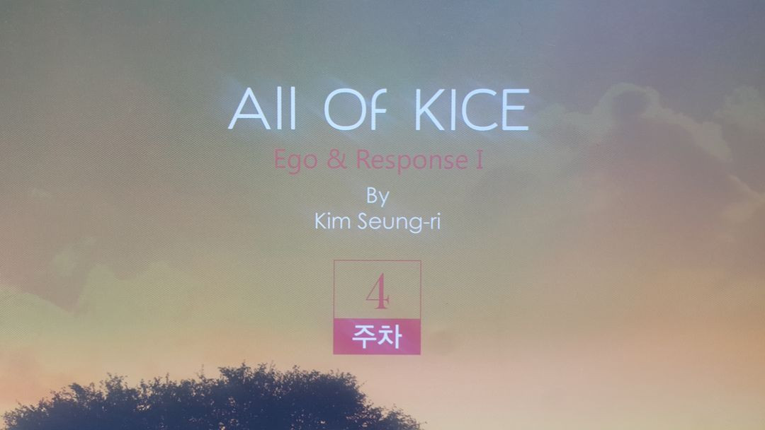 대성마이맥 국어 김승리 올 오브 카이스 4주차 이미지