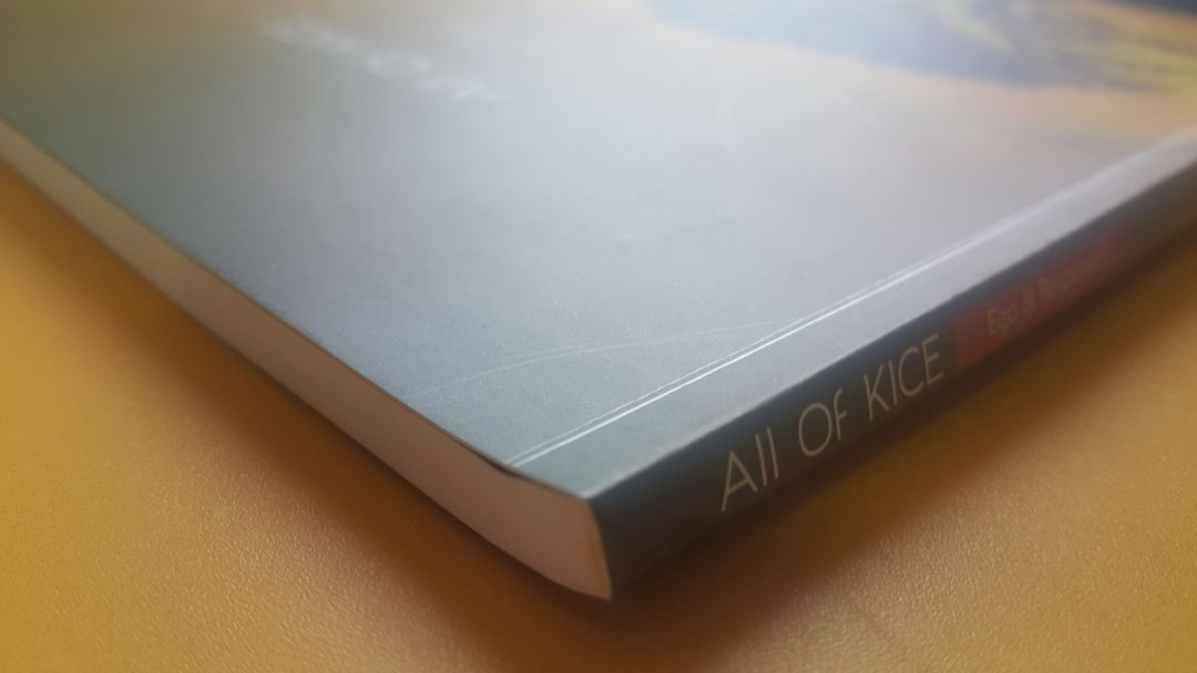 대성마이맥 국어 김승리 올 오브 카이스 4주차 이미지