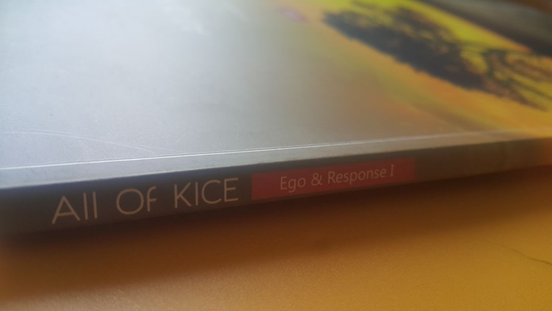 대성마이맥 국어 김승리 올 오브 카이스 4주차 이미지