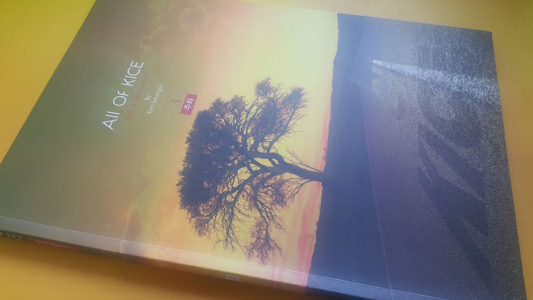 대성마이맥 국어 김승리 올 오브 카이스 4주차 이미지