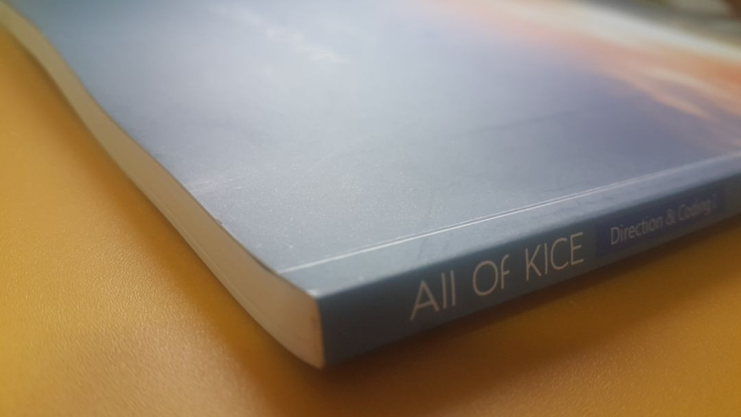 대성마이맥 국어 김승리 올 오브 카이스 3주차 이미지