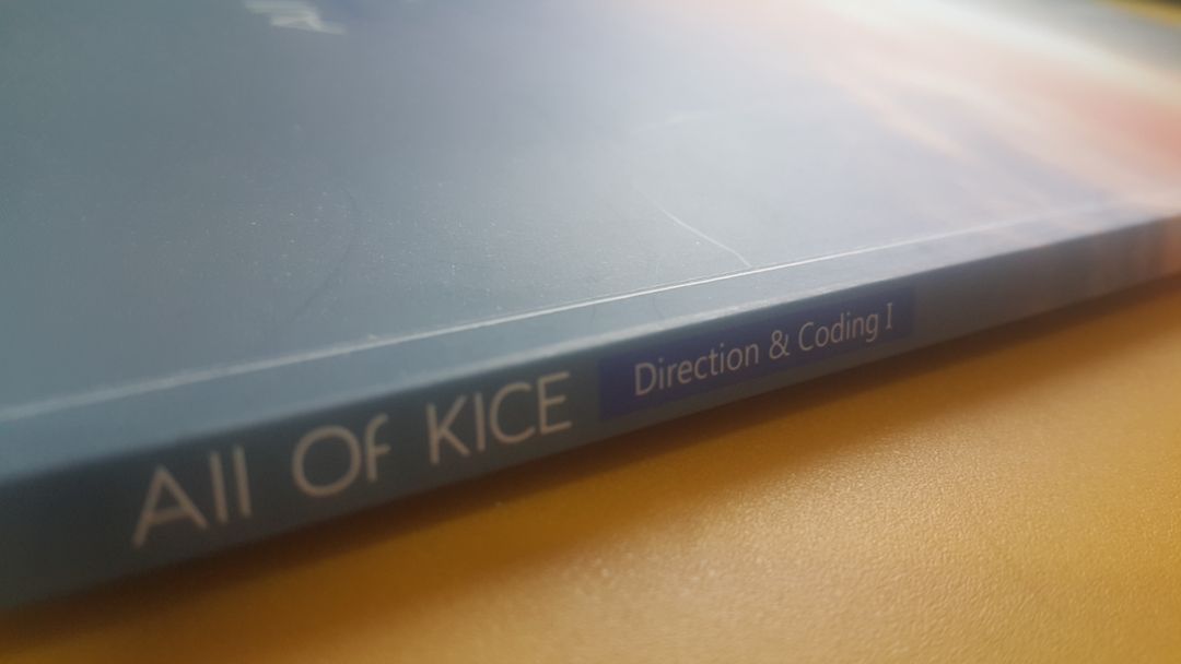 대성마이맥 국어 김승리 올 오브 카이스 3주차 이미지