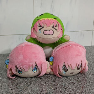 봇치 봉제 누이구루미 세트