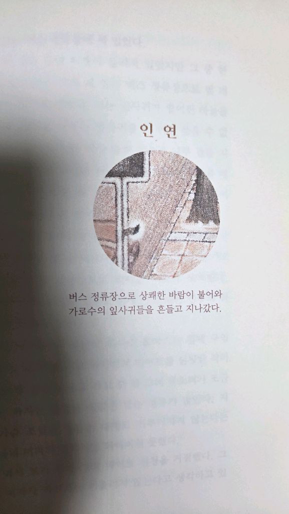 [택포]콩나물시루 소설집(양명호)--6