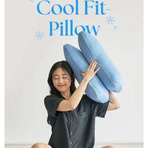 모던하우스 메모리폼칩 쿨베개 미개봉