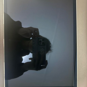 애플 아이패드 프로 12.9인치 S급 하자X 2세대