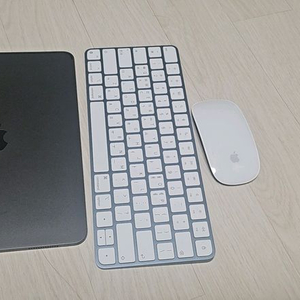아이패드pro 11 2세대 +매직 키보드, 마우스