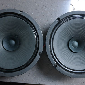 바스캄 8인치 풀레인지 스피커 유닛