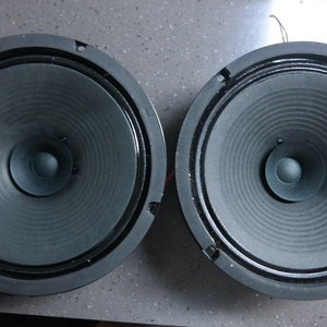 바스캄 8인치 풀레인지 스피커 유닛