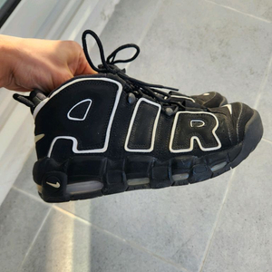 나이키 에어모어 업템포 250