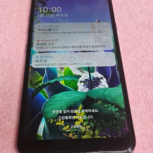 LG- X6 2019년 LM-X625N